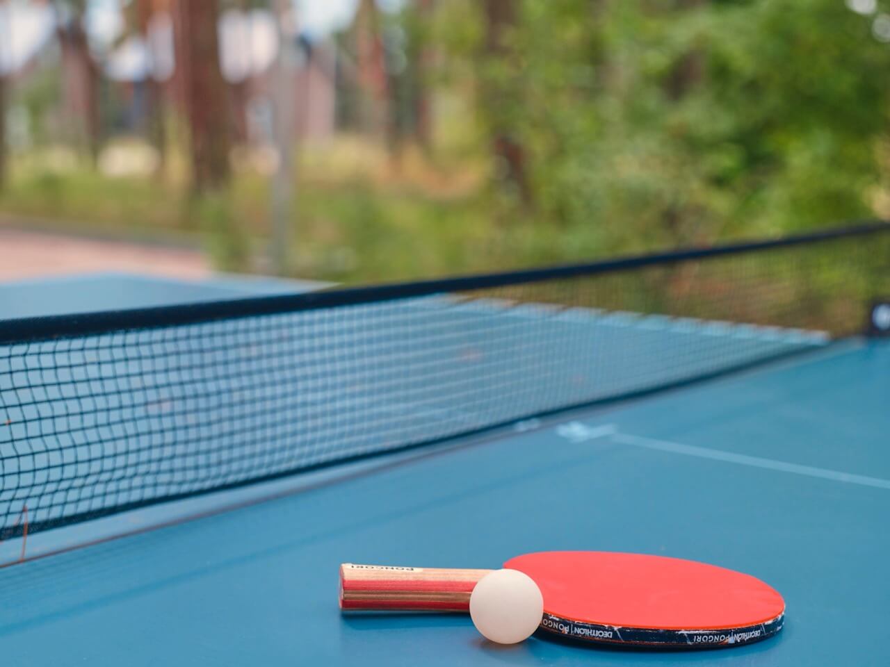 Pingpong